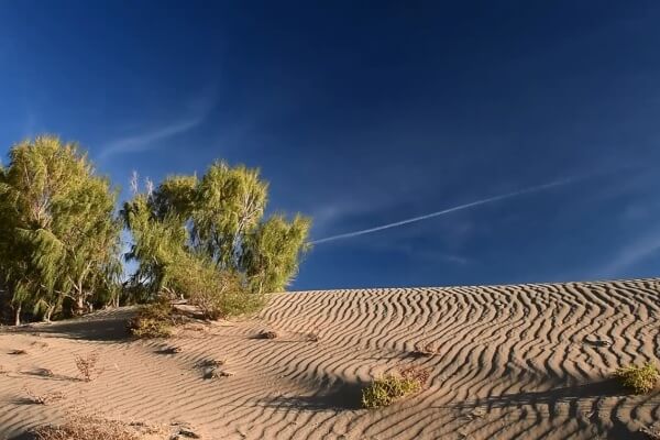 Altyn-Emel desert