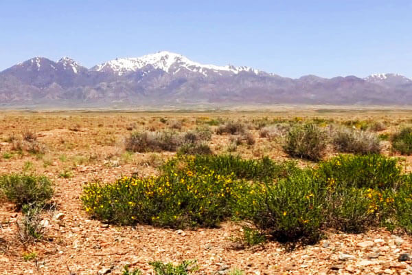 Altyn-Emel National Park