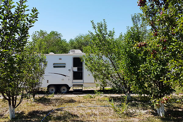 Altyn-Emel: Orchard