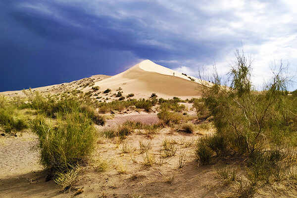 Singing Dune