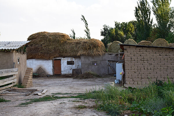 Basshi Village