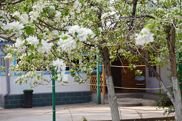 Altyn-Emel: Guesthouse