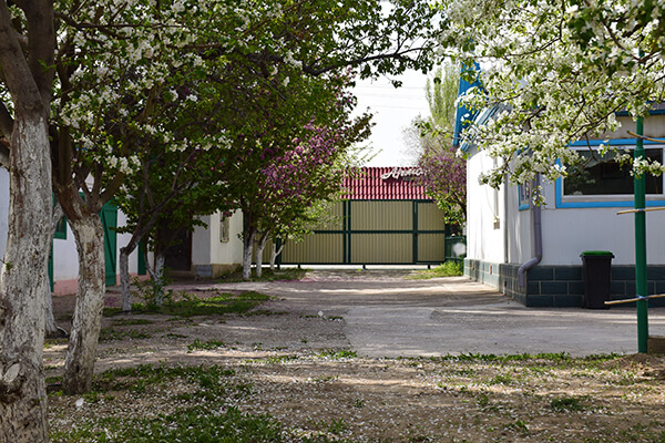 Altyn-Emel: Guesthouse