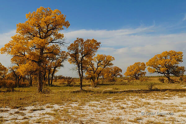 Алтын-Эмель