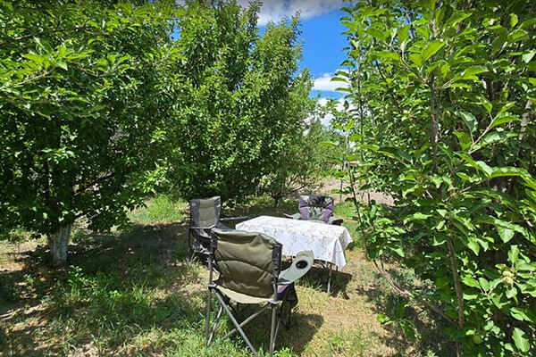 Caravansarai Campsite: Food