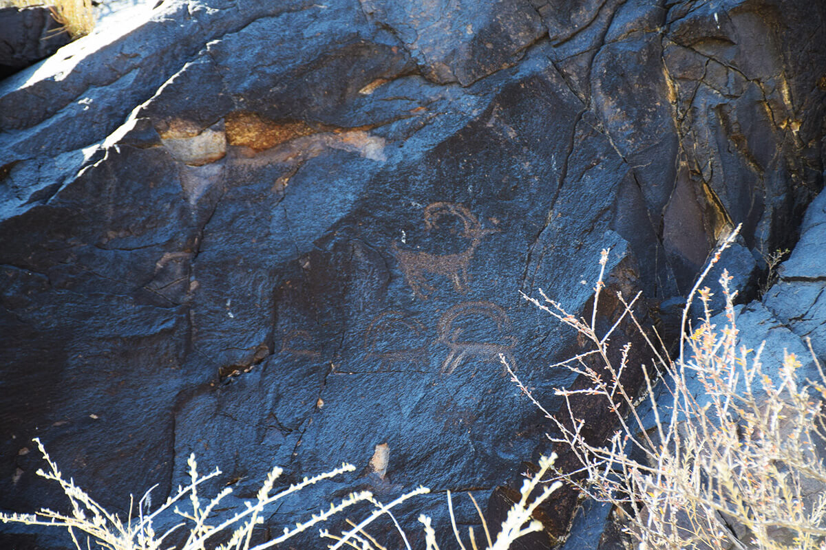 Петроглифы Танбалы Тас