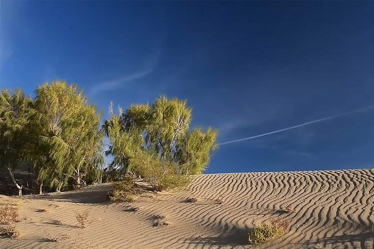 Алтын-Эмель: Поющий бархан